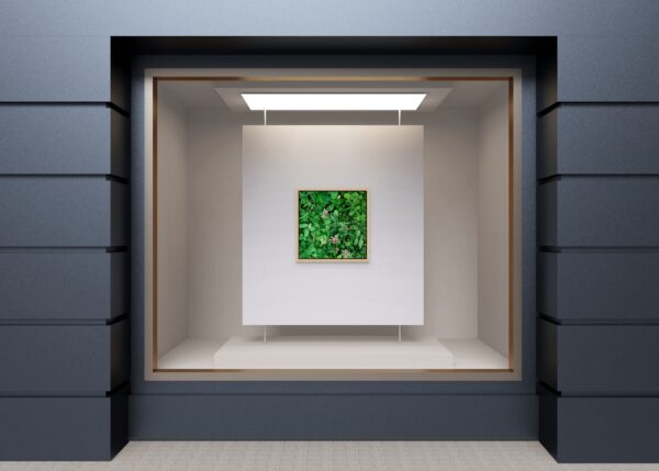Clover - Image 2