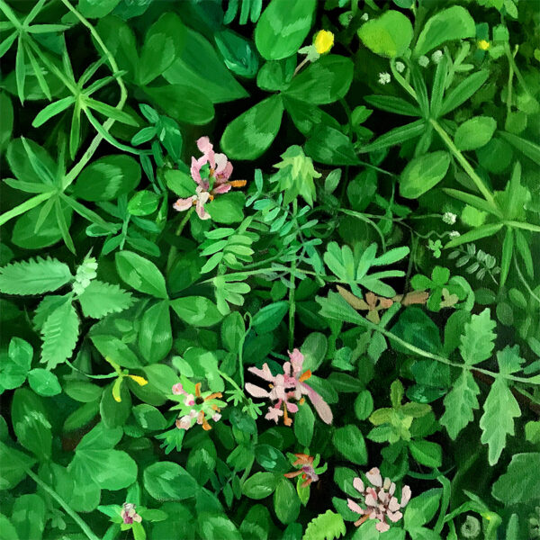 Clover