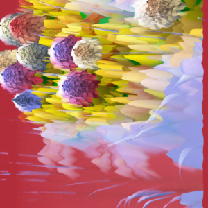 webrender7