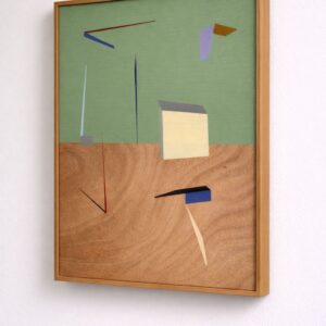 Ehud Raz